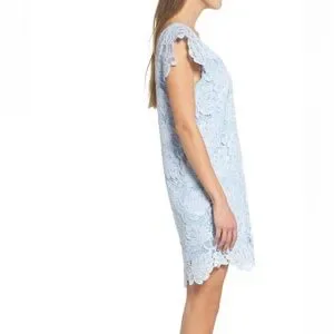 BB Dakota by Steve Madden | Dresses | Bb Dakota Jacqueline Lace Shift Dress  Size Small | Poshmark